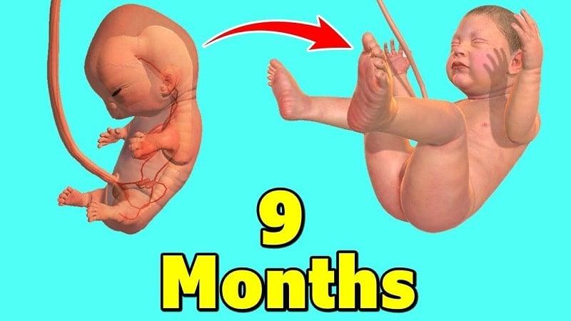 9 Months APK