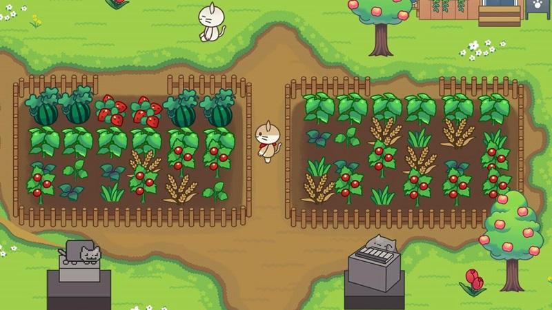 Cat Forest APK