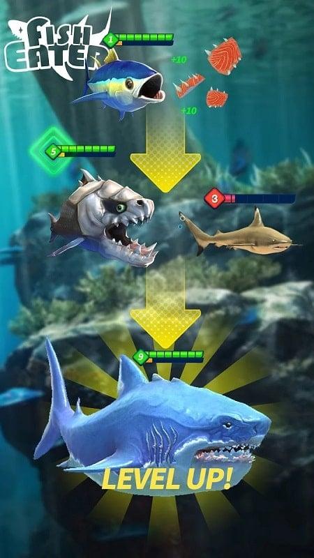 Fish Eater.io APK