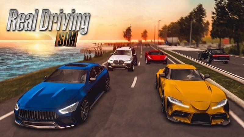 Real Driving Sim APK