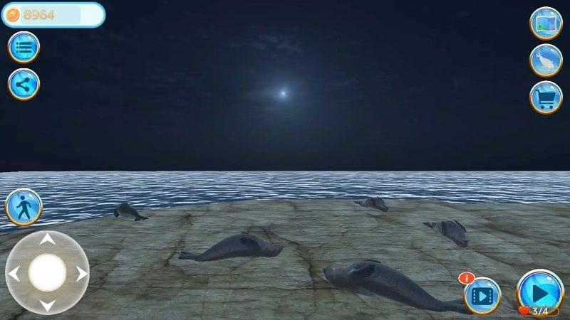 Seal Island APK