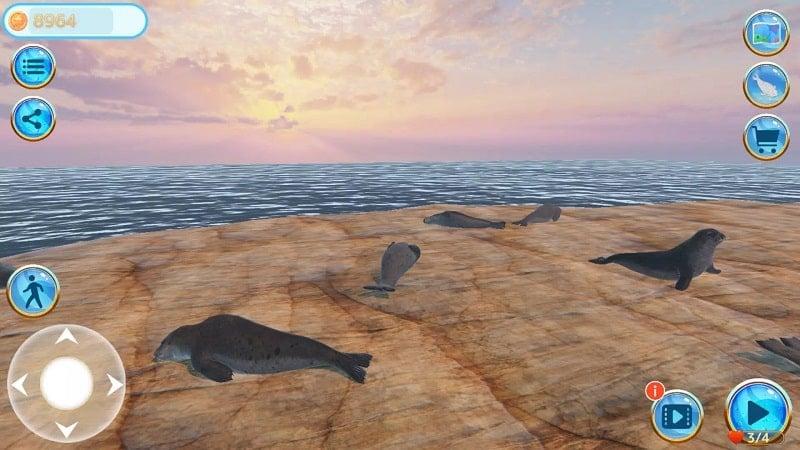 Seal Island APK