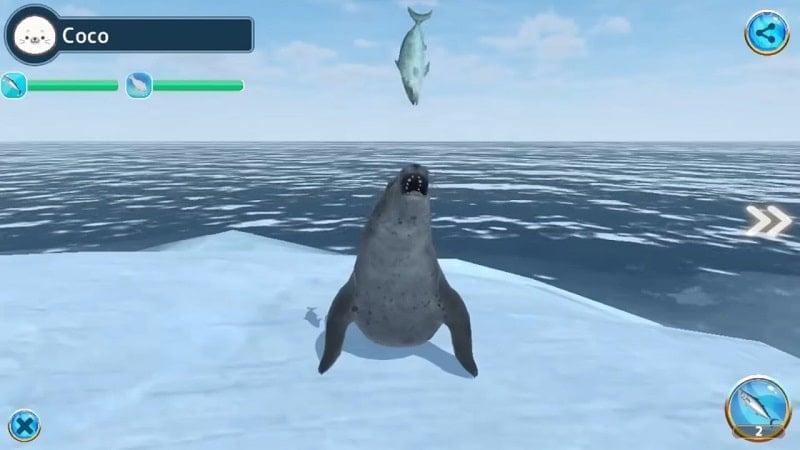 Seal Island APK